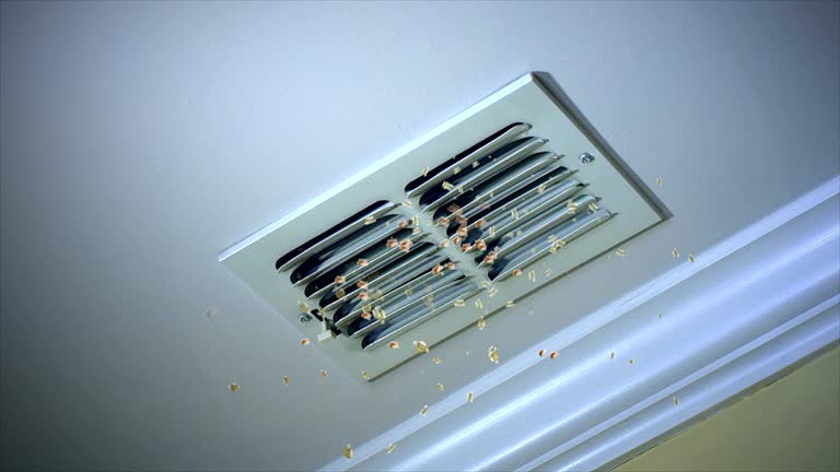 Best HVAC Duct Inspection Services  in Twisp, WA